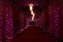 Elegant Mehndi Decorations for Your Special Day