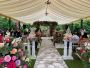Premium Garden Marquees for Elegant Outdoor Events