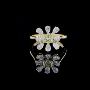 Discover the Brilliance of Lab-Grown Diamonds at Premium Jew