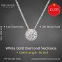 Buy Elegant 18k White Gold Diamond Necklace Online