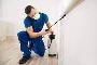 Advanced Pest Control Strategies for Complete Protection