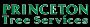 Princeton Tree Services