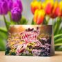 Order Folded Akuafoil Greeting Cards from PrintMagic
