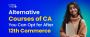 Top 10 Online Courses to Do Along with CA Course [2024]