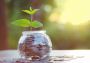Wealth Management Services Available