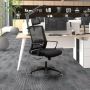 Buy Office Chairs In Christchurch