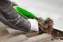 Affordable Gutter Cleaning Services – Fast & Reliable