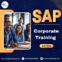 Maximizing Inventory Efficiency with SAP MM: Best Practices 