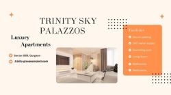 Trinity Sky Palazzos Sector 88 Gurgaon - Invest in You