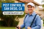 Seasonal Pest Control in San Diego: Stay Ahead of Rodents an