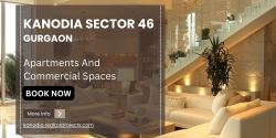 Kanodia Sector 46 Gurugram: Flexible Leasing Options
