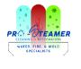 Pro Steamer Cleaning & Restoration