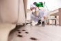 Hire Best Cockroach Exterminators in Clyde