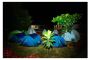 Exciting Adventure Camps for Kids in Bangalore - PSR Enthral