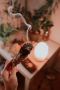Fortune Teller Service | Psychicvisionarygu.com Fortune Teller Service | Psychicvisionarygu.com