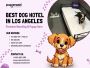 Best Dog Hotel in Los Angeles — Boarding & Puppy Care