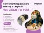 Convenient Dog Day Care with Pick-Up & Drop-Off 