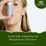 Restore Balance with an Ayurveda Doctor's Guidance in Melbou