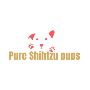 Discover Shih Tzu Puppies San Antonio Today at Pure Shih Tzu