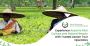 Assam Tour Packages | Assam Holiday Packages | Purvi Discove