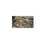 Reliable Containerised Plastic Waste Solutions in the UK