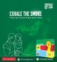 Conquer Tobacco Addiction with Qtox Wellness