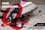Find Salon Housekeeping Near Me - Book Salon Housekeeping 