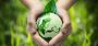 Lower carbon footprint with ISO 14001 certification Lower carbon footprint with ISO 14001 certification