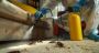 Best Pest Control Coimbatore	