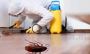Cockroach Control Service Coimbatore