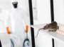 Best Rat Control Coimbatore