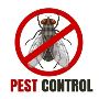 Best Fly Control Company in Coimbatore	