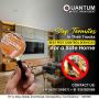 Pest Safe Solutions Where Safety Meets Pest Control