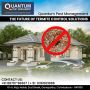 Effective Termite Pest Control Protecting Your Home from the