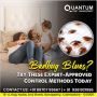 Bed Bug Control Service in Coimbatore | bed bug treatment