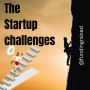 The Startup Challenges