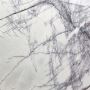 Imported Marble for Flooring
