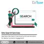 Get Seamless Site Search Services at EnFuse Solutions