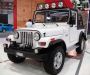 Effective Services to Optimize Your Thar Mileage Performance