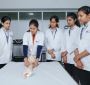 Best Physiotherapy Colleges in India Best Physiotherapy Colleges in India