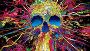 We offer colorful quality Legal Psychedelics For trade produ