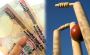 Online Cricket Betting In India 