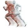 Strength Training in 2025: Your Complete Guide to Getting St