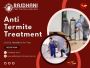 Get Reliable Anti Termite Treatment in Delhi NCR – Rajdhani 