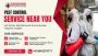 Pests Before They Destroy Your Home — Hire Rajdhani Pest