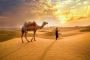 Ras Al Khaimah Desert Safari Packages