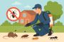 Pestcontrol in Braamfontein - Eco Pestcontrol Pestcontrol in Braamfontein - Eco Pestcontrol