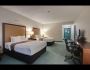 Edmonton International Airport  Nisku, AB Travel and Service