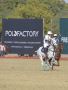 polofactory