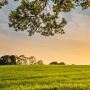 Modern Living at Ananda Agri Farm—Ram Rattan Group 